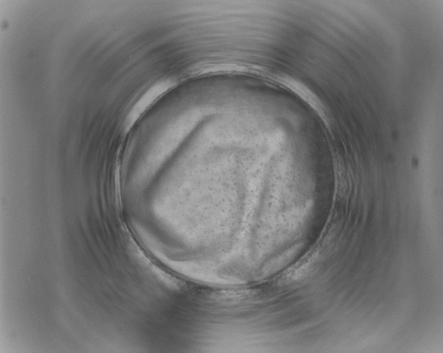 X0000075361290200609251052