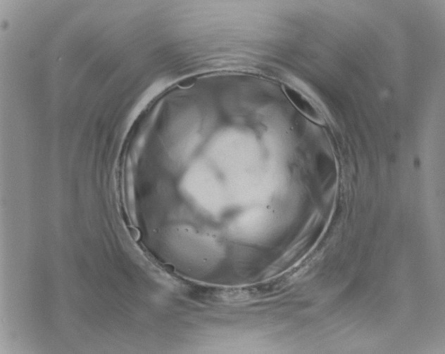 X0000075361291200609251052