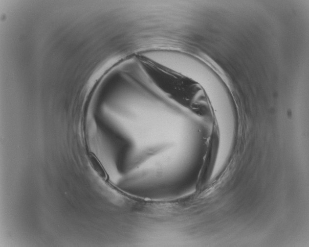 X0000075361293200609251052