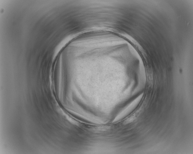 X0000075361294200609251052