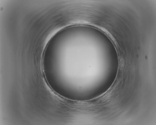 X0000075361295200609251052