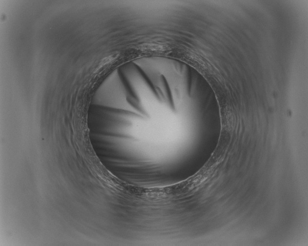 X0000075361297200609251052