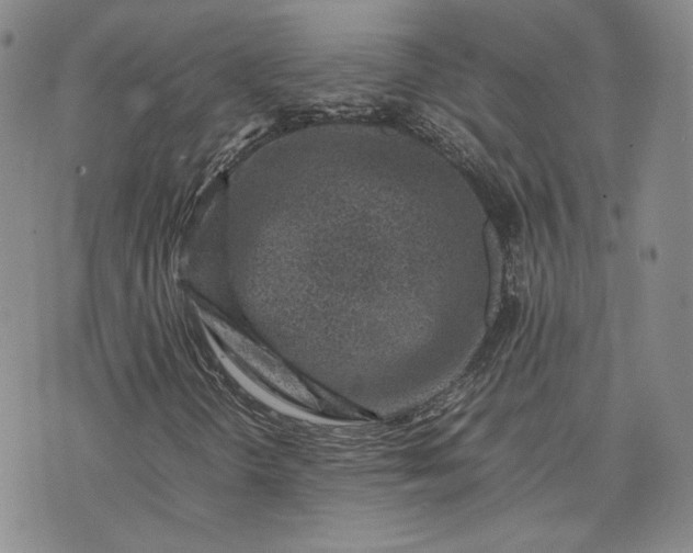 X0000075361298200609251052