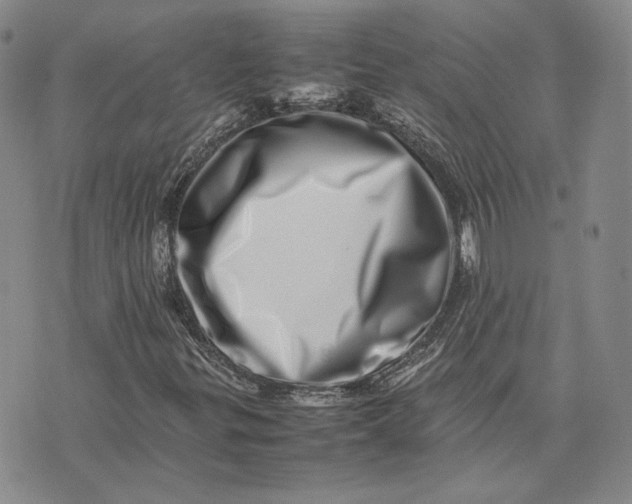 X0000075361299200609251052