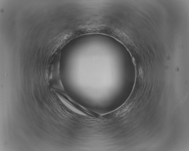 X0000075361300200609251052