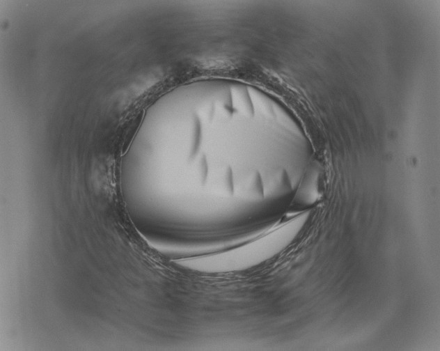 X0000075361301200609251052