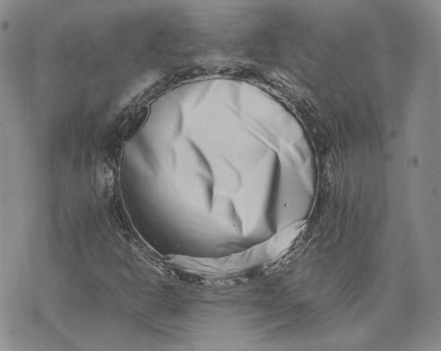 X0000075361302200609251052