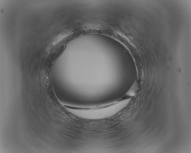 X0000075361303200609251052