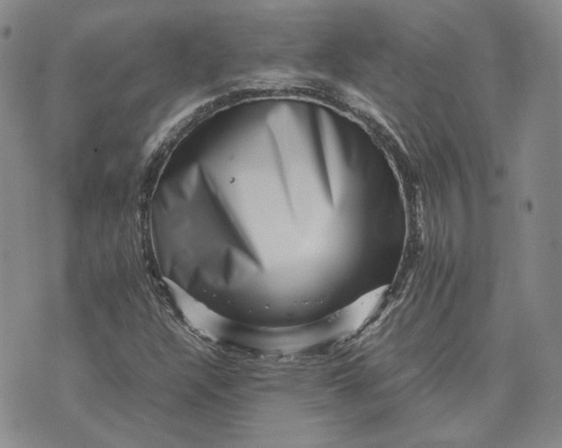 X0000075361304200609251052