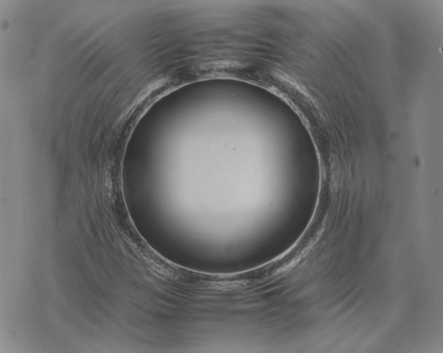 X0000075361305200609251052