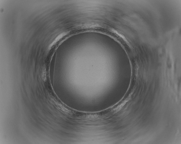 X0000075361306200609251052