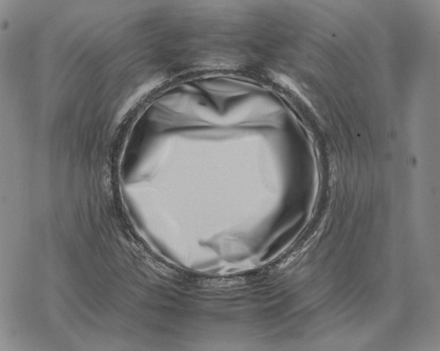 X0000075361307200609251052