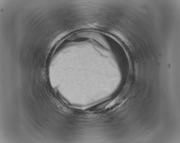 X0000075361308200609251052