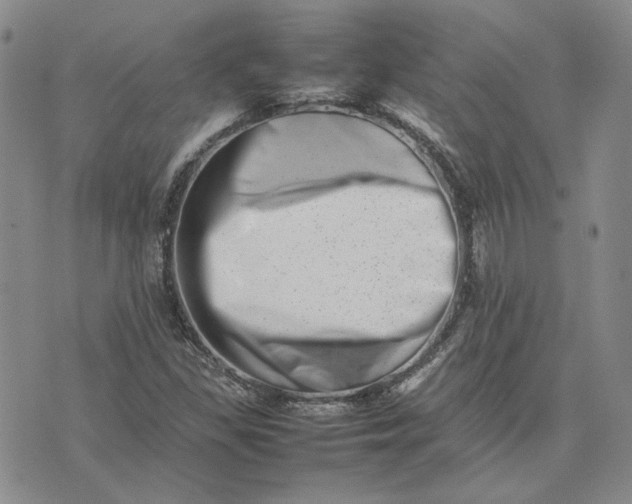 X0000075361309200609251052