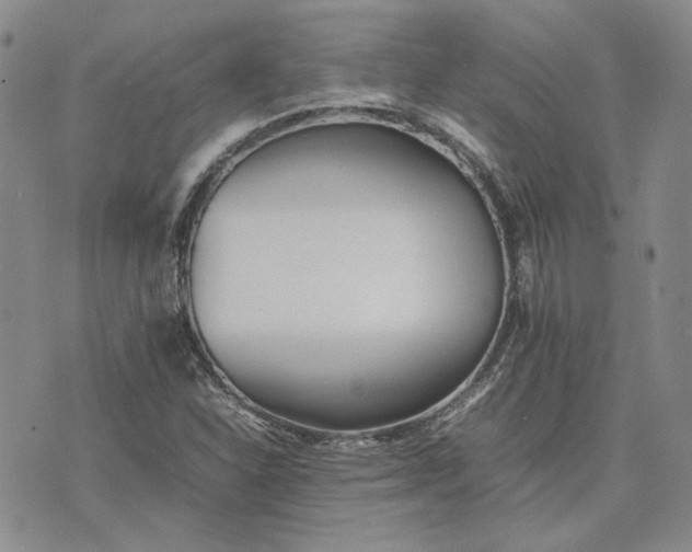 X0000075361310200609251052