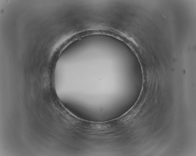 X0000075361311200609251052