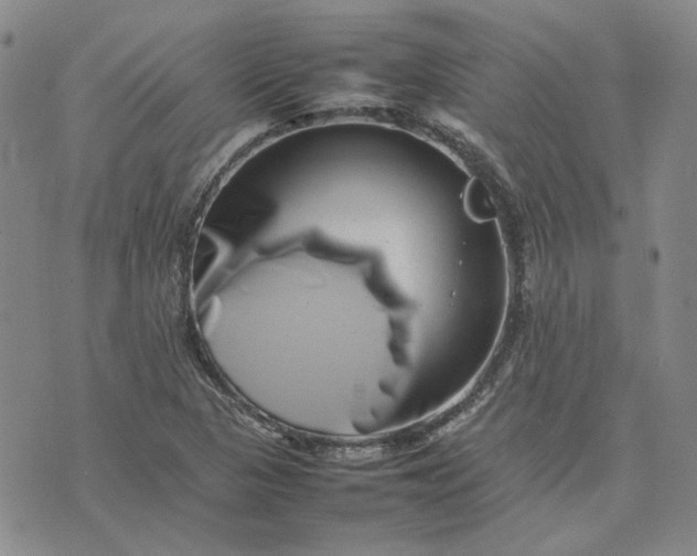 X0000075361313200609251052