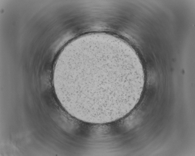 X0000075361314200609251052