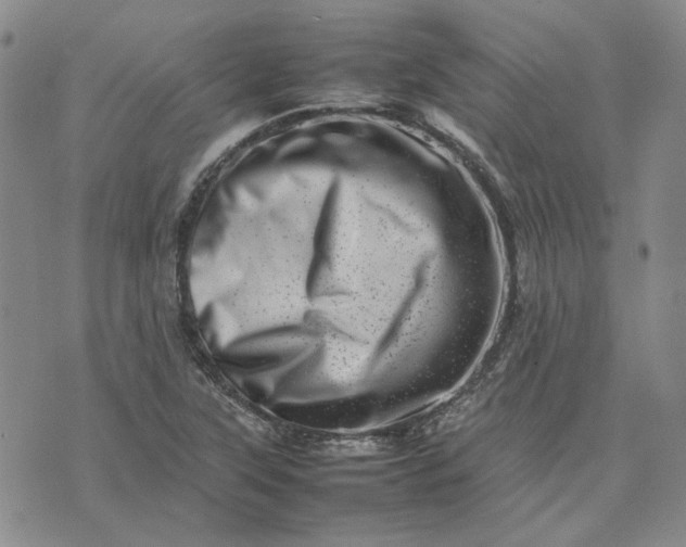 X0000075361315200609251052