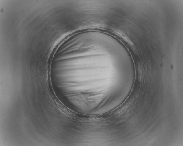 X0000075361316200609251052