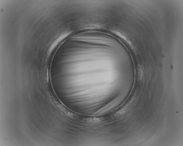 X0000075361317200609251052