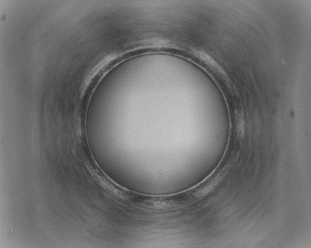 X0000075361318200609251052