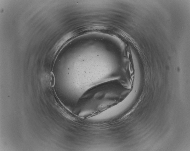 X0000075361321200609251052