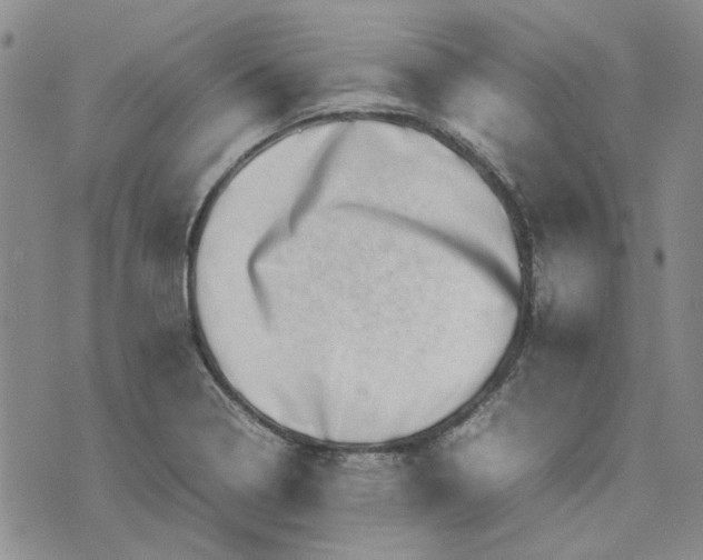 X0000075361322200609251052