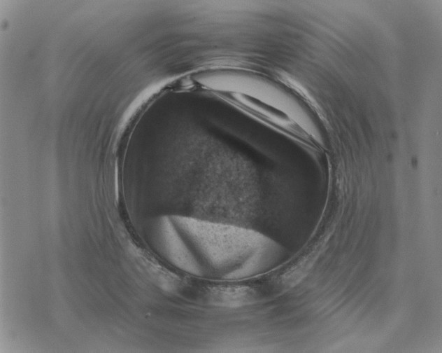 X0000075361323200609251052