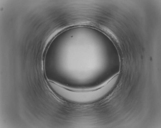 X0000075361324200609251052