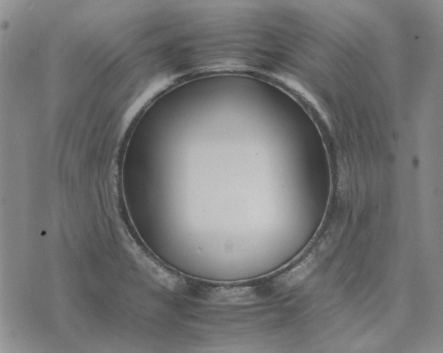 X0000075361325200609251052