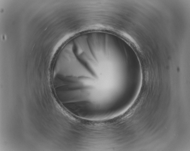 X0000075361326200609251052