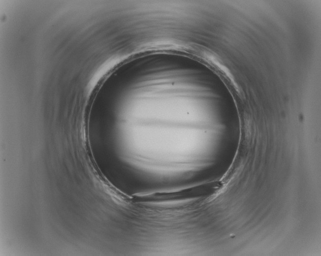 X0000075361328200609251052