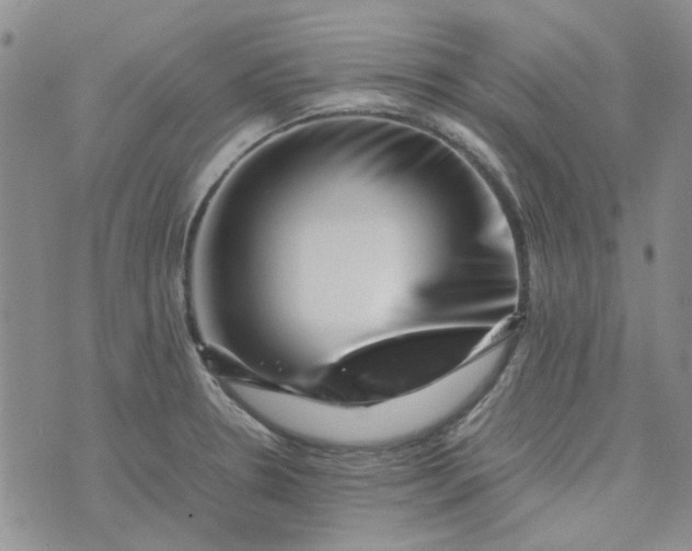 X0000075361330200609251052