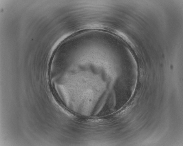 X0000075361331200609251052