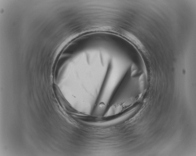 X0000075361332200609251052