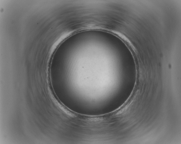 X0000075361333200609251052