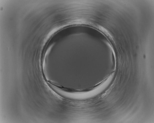 X0000075361334200609251052