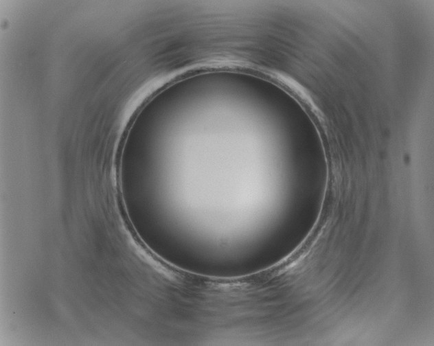 X0000075361335200609251052