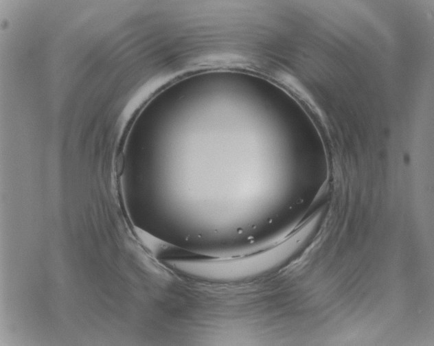 X0000075361336200609251052