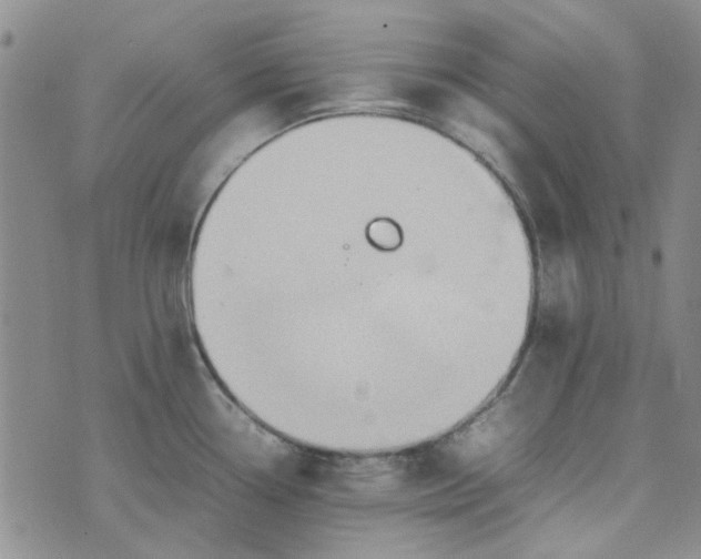 X0000075361338200609251052