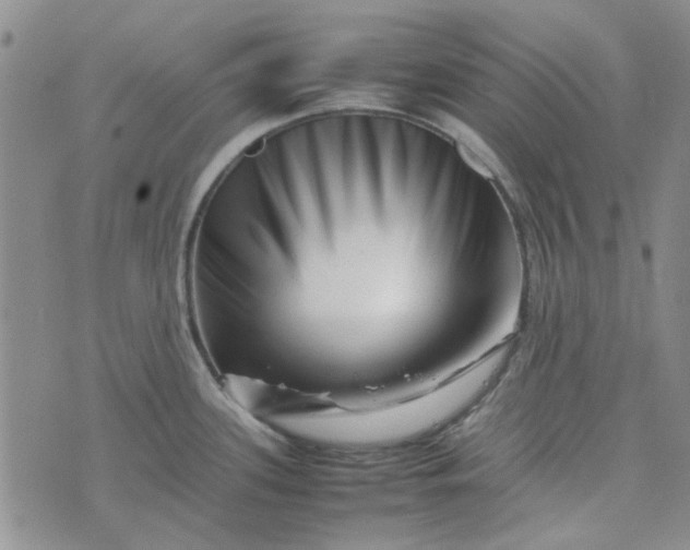 X0000075361339200609251052