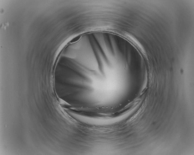 X0000075361340200609251052