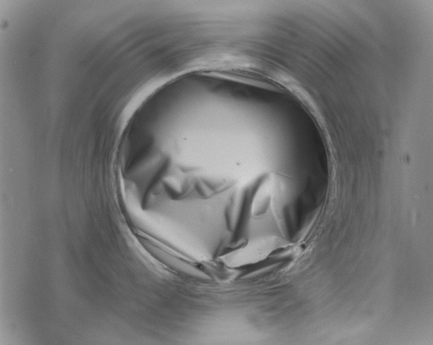 X0000075361344200609251052