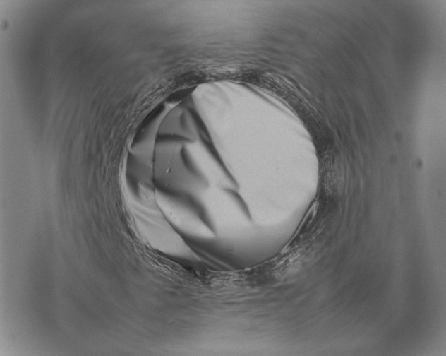 X0000075361345200609251051