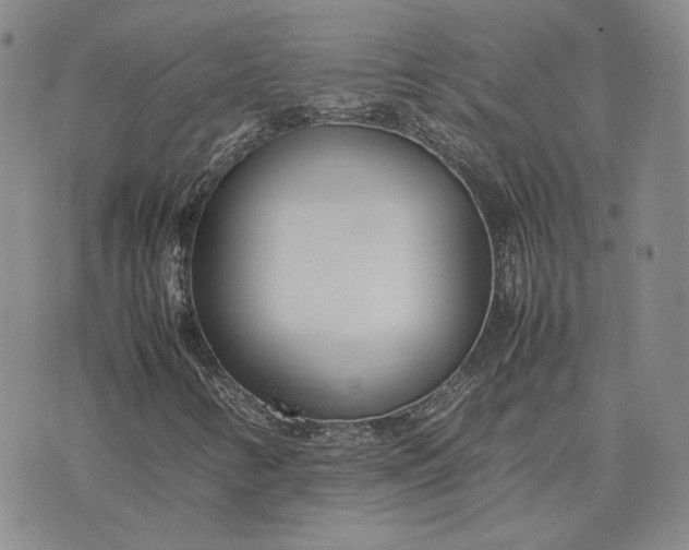 X0000075361346200609251051