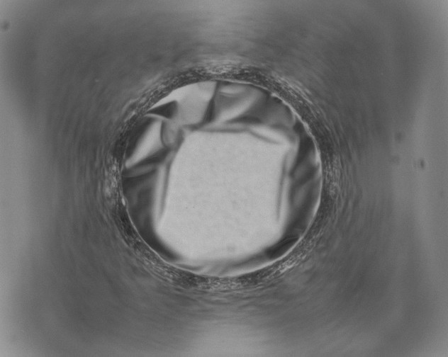 X0000075361349200609251051