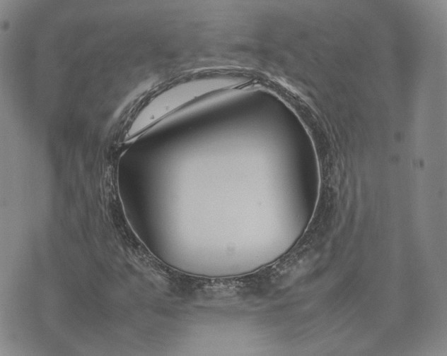 X0000075361351200609251051