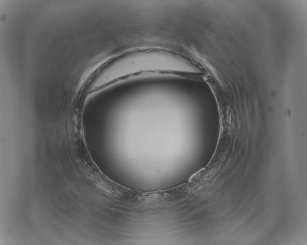 X0000075361352200609251051