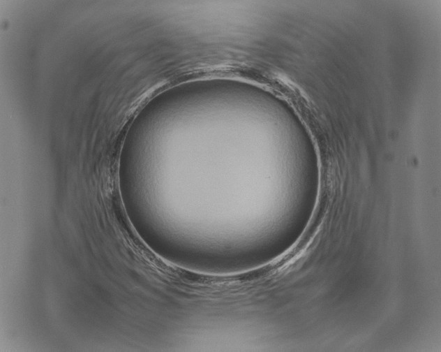 X0000075361353200609251051